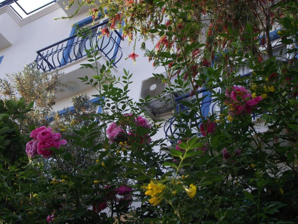 Miramar Pansiyon Kaş Exteriér fotografie